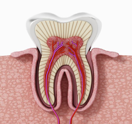 root canal treatment edmonton