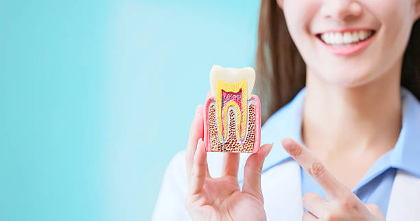 how root canal treatment saves your natural tooth